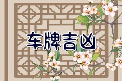 字母与数字分工