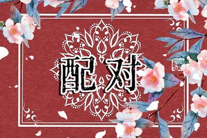 婚姻中的角色期待